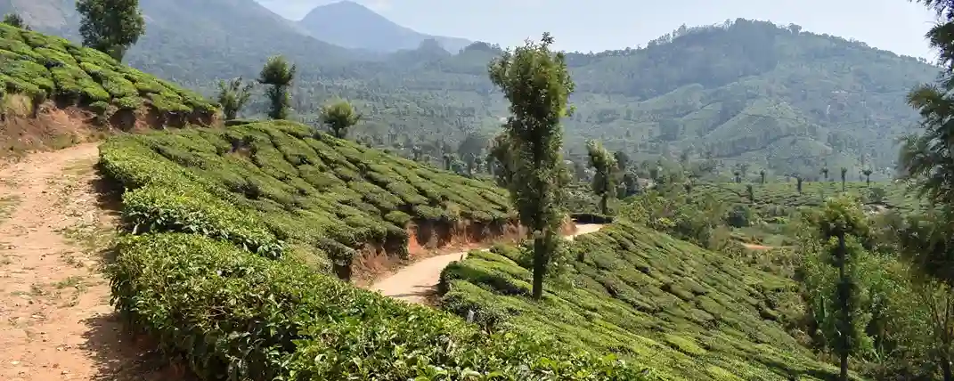 Best Of North Kerala-1